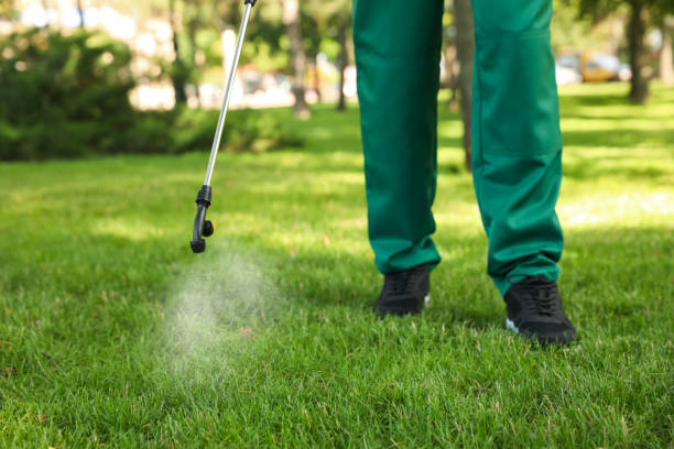 Best Local Pest Control Services  in Lyndhurst, OH