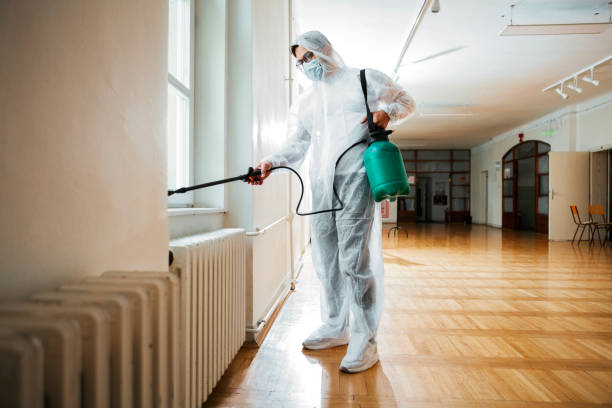 Best Best Pest Control Companies  in Lyndhurst, OH