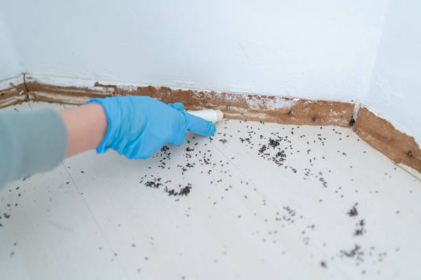 Best Commercial Pest Control Services  in Lyndhurst, OH