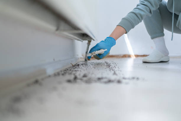 Trusted Lyndhurst, OH Pest Control Experts